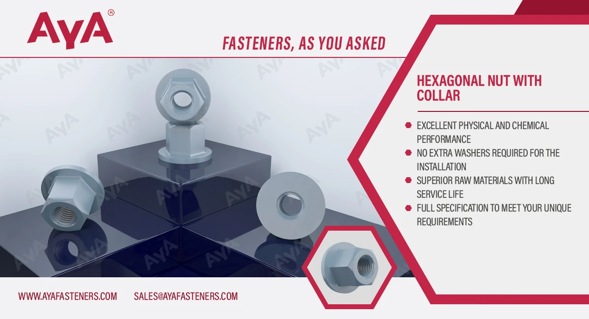 Hexagonal Nut With Collar advantage Hexagonal Nut With Collar advantage