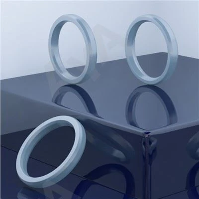 Signatio Orbis Gasket