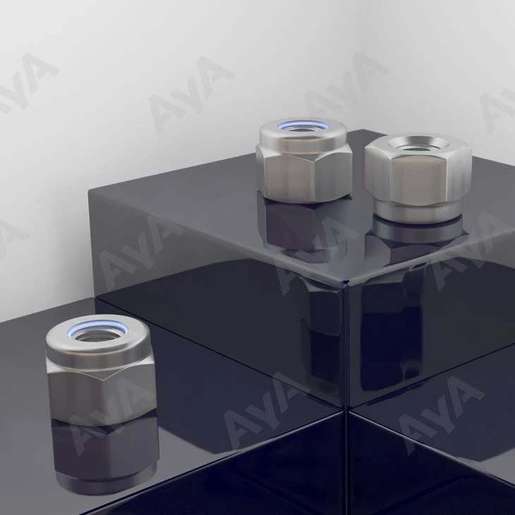 Aliquam Steel clausum nut